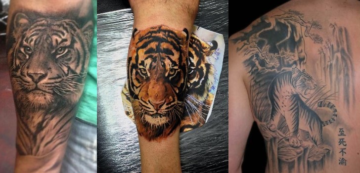 tatuagens-masculinas-de-tigre6