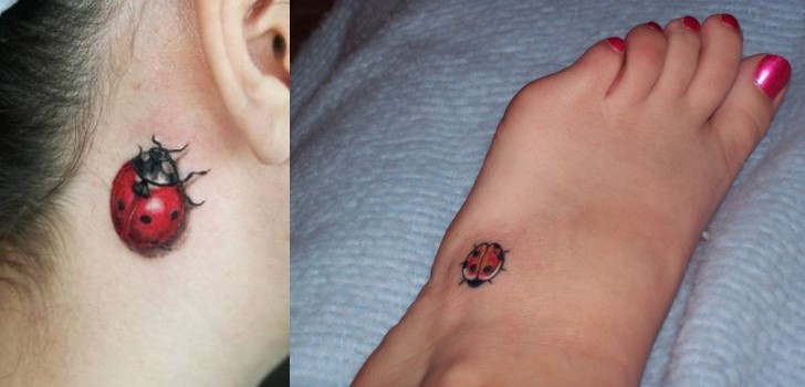 tatuagens-de-joaninha25